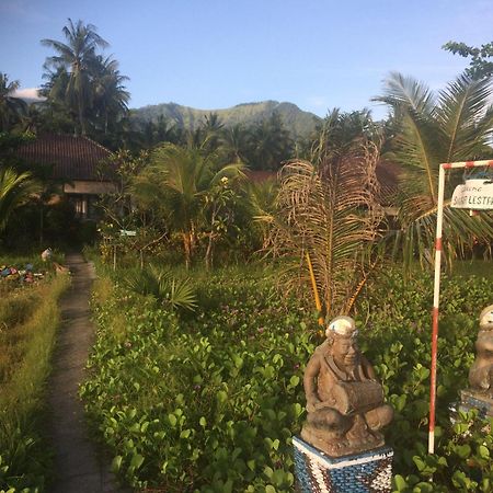 Bali Segara Lestari Oceanfront Villas Tejakula Εξωτερικό φωτογραφία