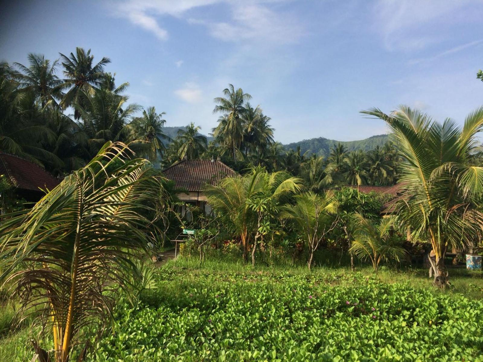 Bali Segara Lestari Oceanfront Villas Tejakula Εξωτερικό φωτογραφία