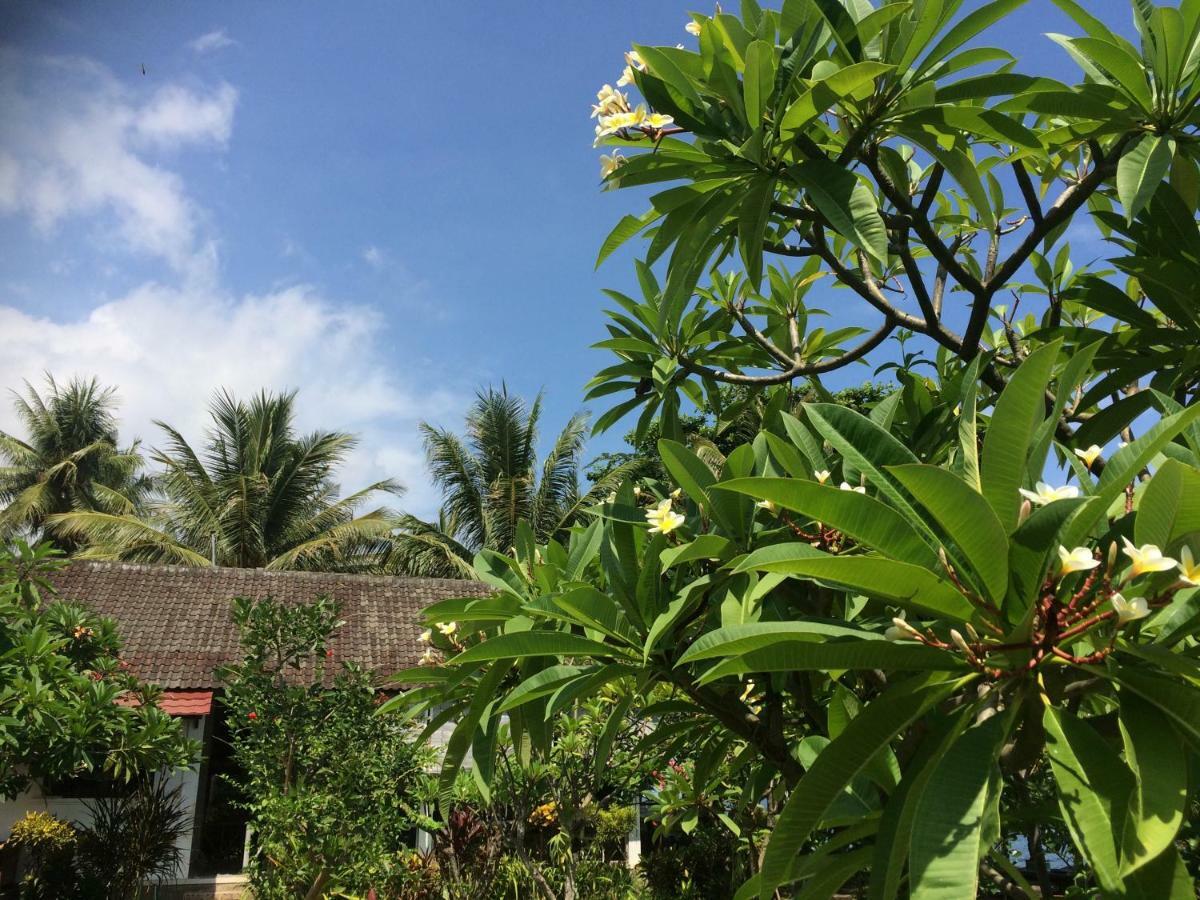 Bali Segara Lestari Oceanfront Villas Tejakula Εξωτερικό φωτογραφία